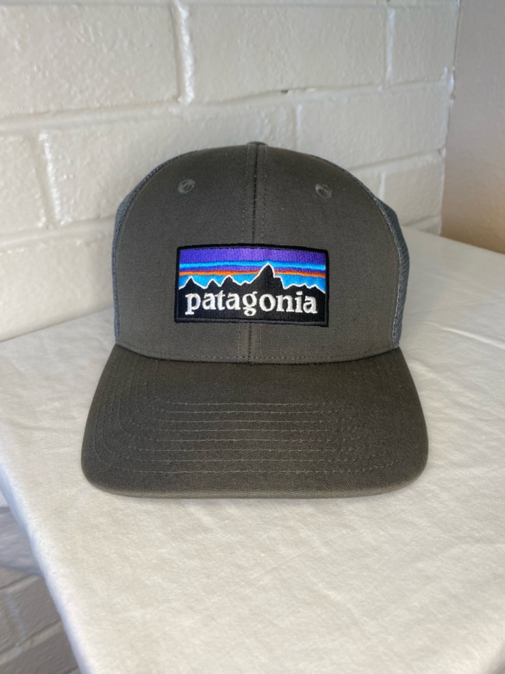 Patagonia P-6 Logo Trucker Hat in Forge Grey